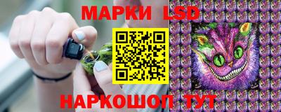 СК Ачхой-Мартан