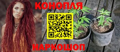 СК Ачхой-Мартан