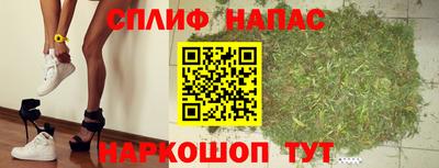 СК Ачхой-Мартан