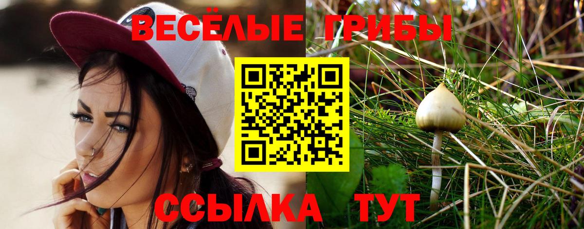 Галлюциногенные грибы прущие грибы  Вход с VPN  Звенигород  Псилоцибиновые грибы GOLDEN TEACHER 